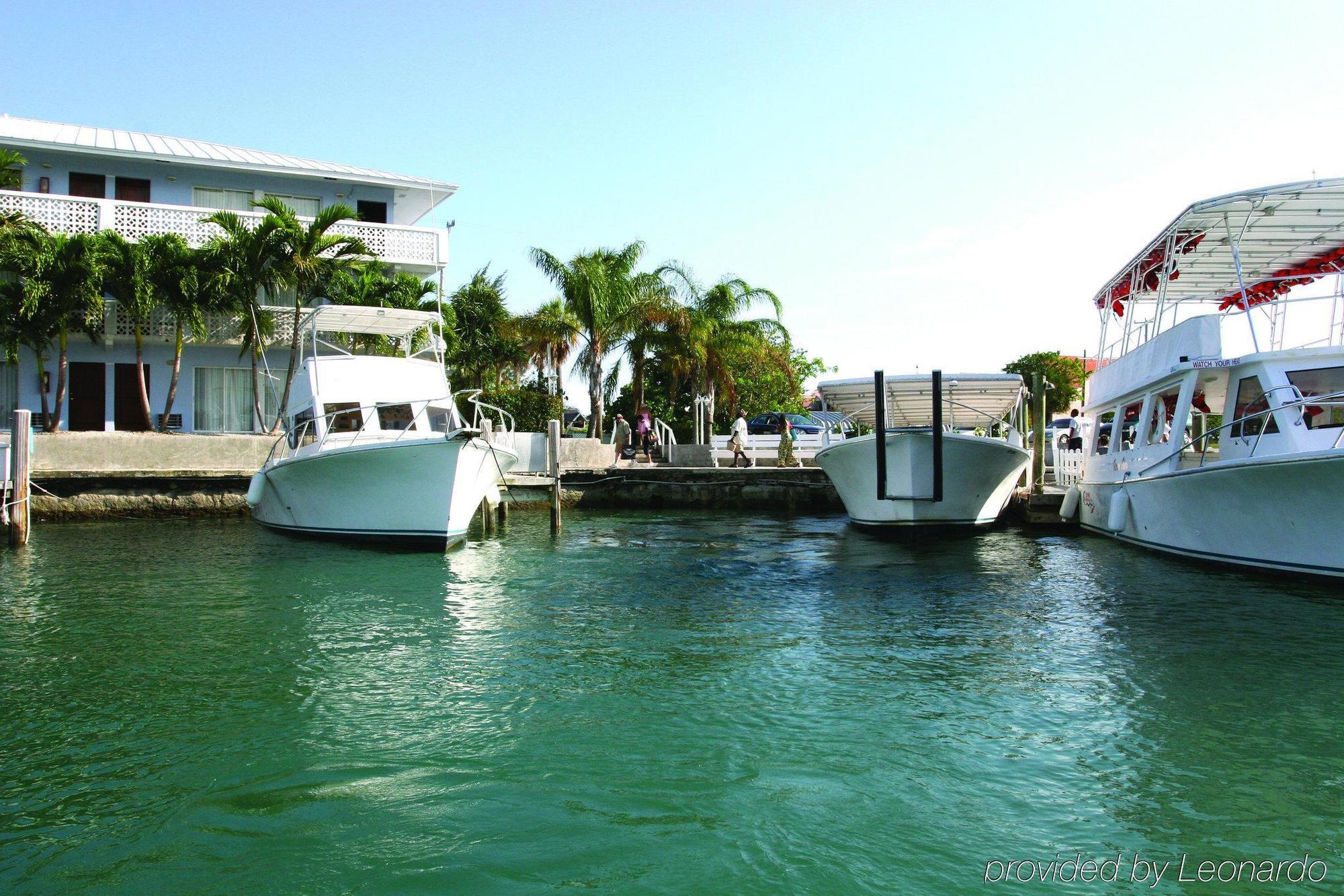 The Marlin At Taino Beach Resort Freeport Exteriör bild